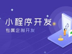 开发小程序有哪些方式（微信小程序 运营平台）