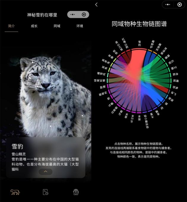 腾讯联合WWF推出的“神秘雪豹在哪里”小程序上线（小程序开发和运营）