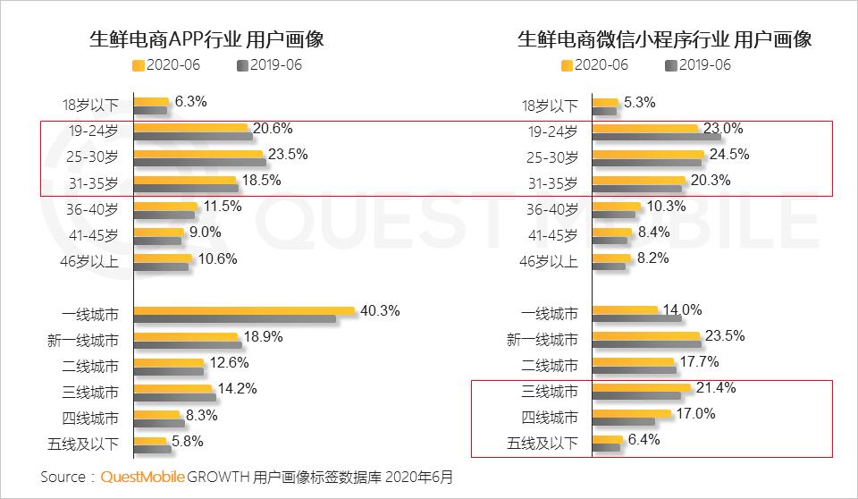 QuestMobile中国移动互联网2020半年大报告（小程序商城运营方案）