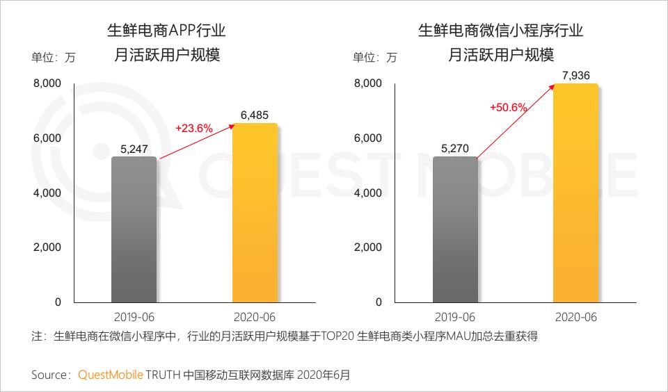 QuestMobile中国移动互联网2020半年大报告（小程序商城运营方案）