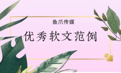 优秀软文范例是怎么写的?应具备哪些因素?