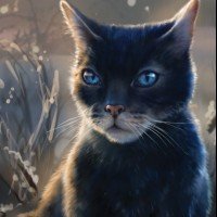 鸦羽(Crowfeather)——欧美最有可能死于破译密码弧的十大勇士猫角色