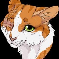 亮心(Brightheart)——欧美最有可能死于破译密码弧的十大勇士猫角色