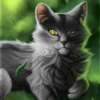 灰条(Graystripe)——欧美最有可能死于破译密码弧的十大勇士猫角色