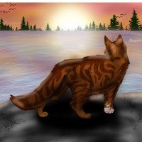 叶星(Leafstar)——欧美最有可能死于破译密码弧的十大勇士猫角色