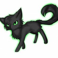 冬青叶(Hollyleaf)——欧美你喜欢的十大勇士