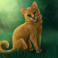 松鼠飞行(Squirrelflight)——欧美你喜欢的十大勇士