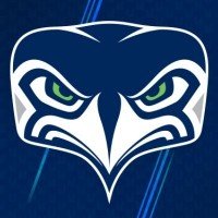 西雅图海鹰(Seattle Seahawks)——欧美排名前十的NFL球队最有可能让2020年赛季的季后赛