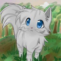 鸽翅(Dovewing)——欧美你最想评价的十大勇士猫英雄