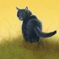 炭毛(Cinderpelt)——欧美你最想评价的十大勇士猫英雄
