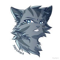 松鸦羽(Jayfeather)——欧美十大超能力，你会期待这些勇士猫