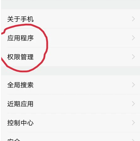 vivo如何设置权限管理