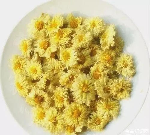 喝菊花茶有什么好处