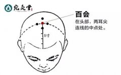 灸百会的功效与作用