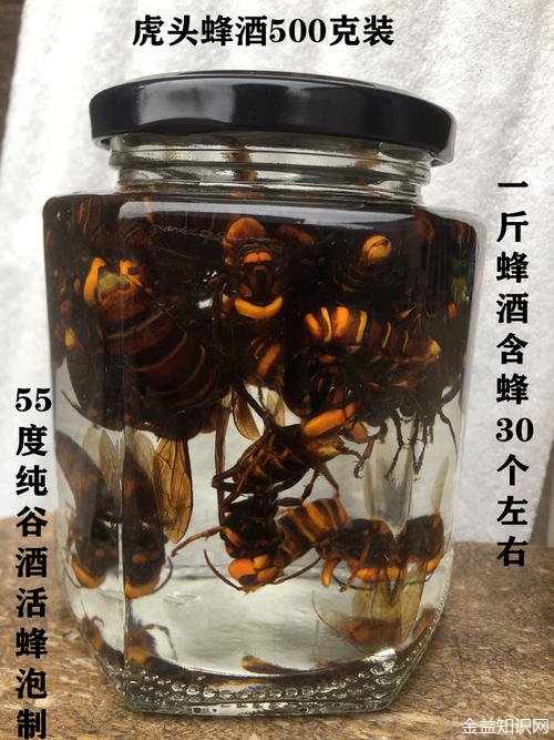 胡蜂泡酒的功效与作用