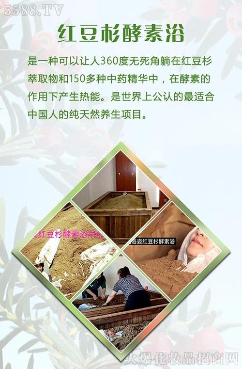 酵素液的功效与作用