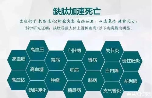 小分子活性肽的功效与作用