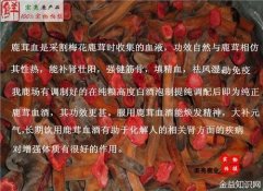 鲜鹿茸血的功效与作用