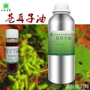 苍耳油的功效与作用