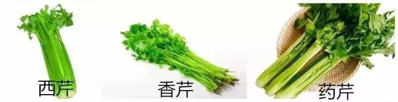 芹菜叶汁的功效与作用