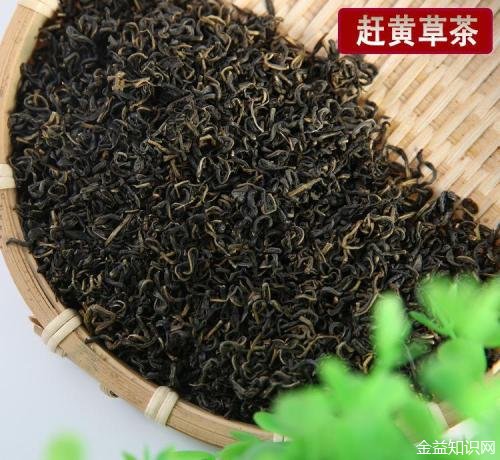 赶黄草茶的功效与作用