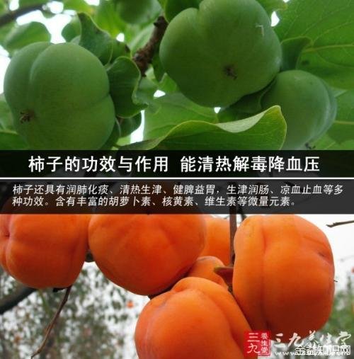 柿寄生的功效与作用