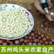 苏州鸡头米的功效与作用