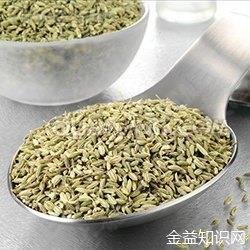 茴香籽粉的功效与作用