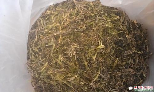 红豆杉茶的功效与作用