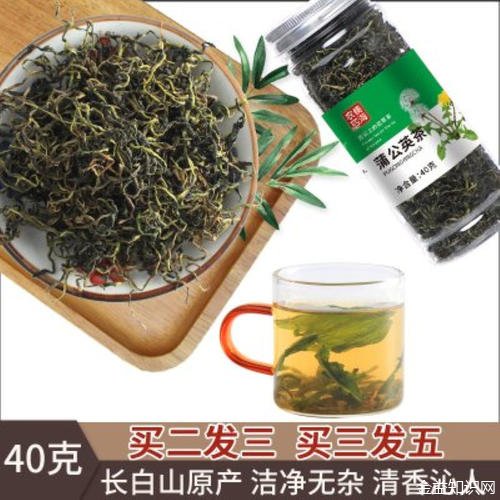 白鼓丁茶的功效与作用