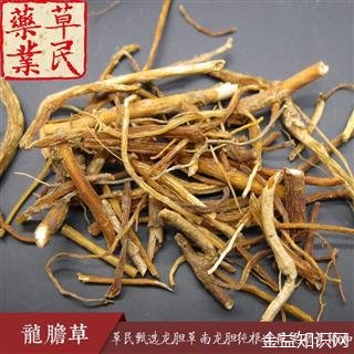 龙胆根的功效与作用