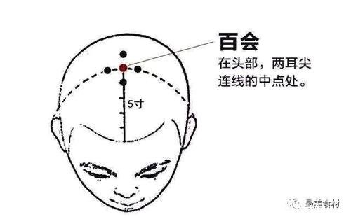 百会的功效与作用