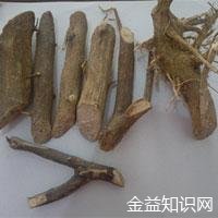 东风桔的功效与作用