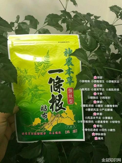 一条根药膏的功效与作用