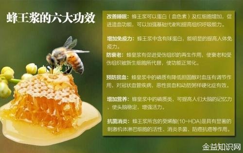 王浆虫的功效与作用