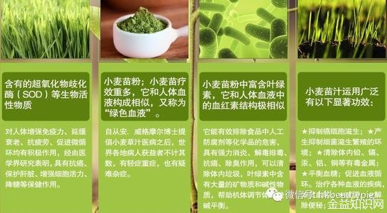 小麦苗粉的功效与作用