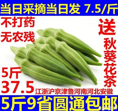 六角豆的功效和作用