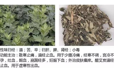 延胡素的功效与作用