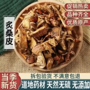 炙桑白皮的功效与作用