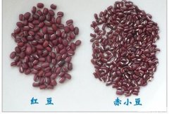 赤小豆薏米汤的功效与作用