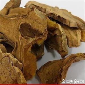 中药毛犬的功效与作用