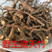 天竹根的功效与作用