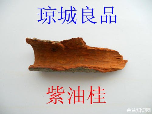 紫油桂的功效与作用