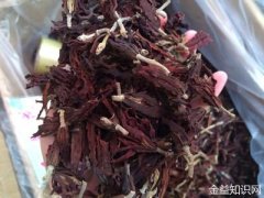 玉兰花茶的功效与作用