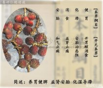 春砂仁酒的功效与作用