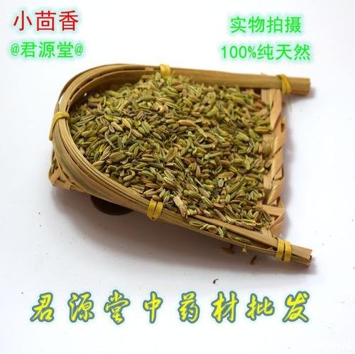 中药小茴香的功效与作用