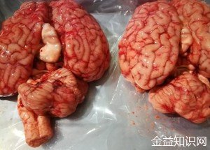 牛脑花的功效与作用