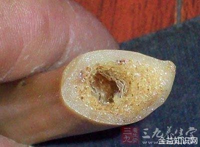 虎骨胶的功效与作用