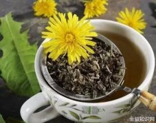 蒲公英玫瑰花茶的功效与作用