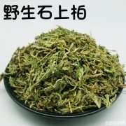 石上柏的功效与作用及食用方法